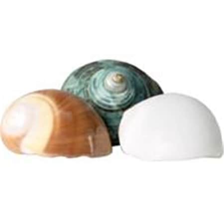 Flukers 012189 Hermit Headquarters Hermit Crab Growth Shells - Small